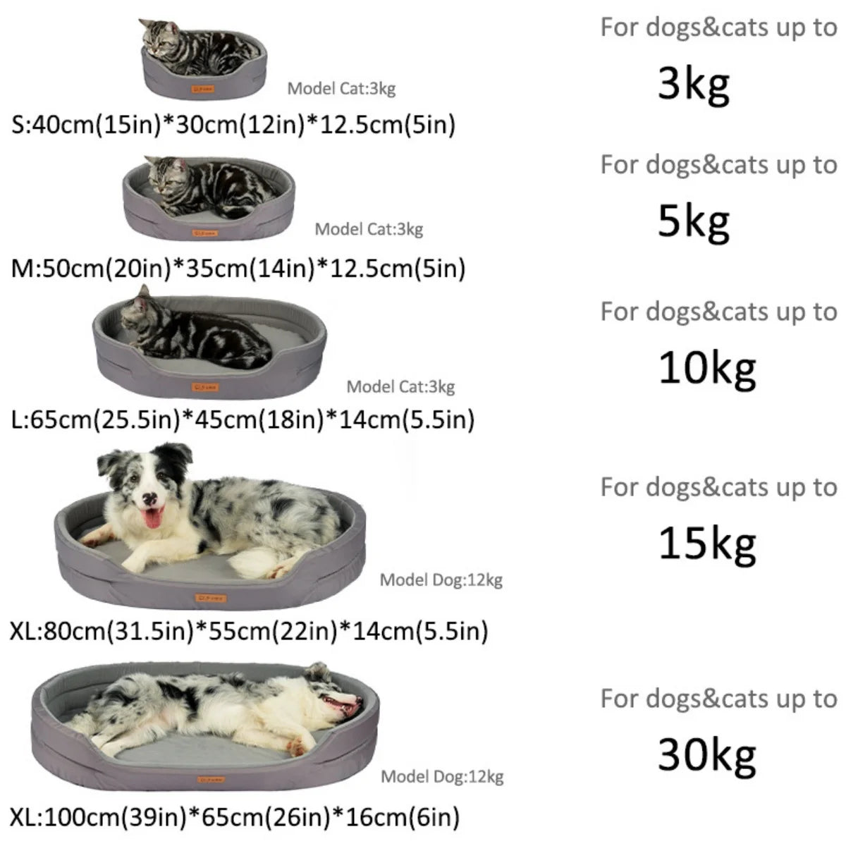 Waterproof and Wear-Resistant Beds for Dogs