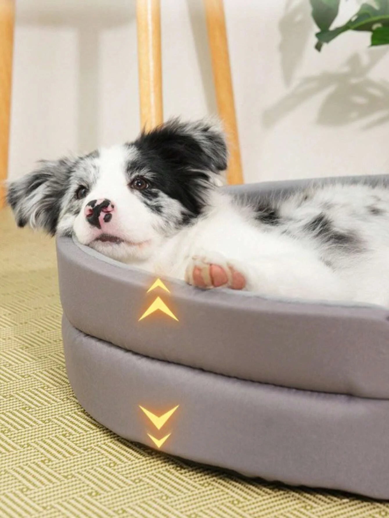 Waterproof and Wear-Resistant Beds for Dogs