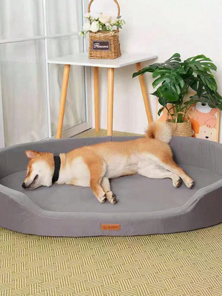 Waterproof and Wear-Resistant Beds for Dogs