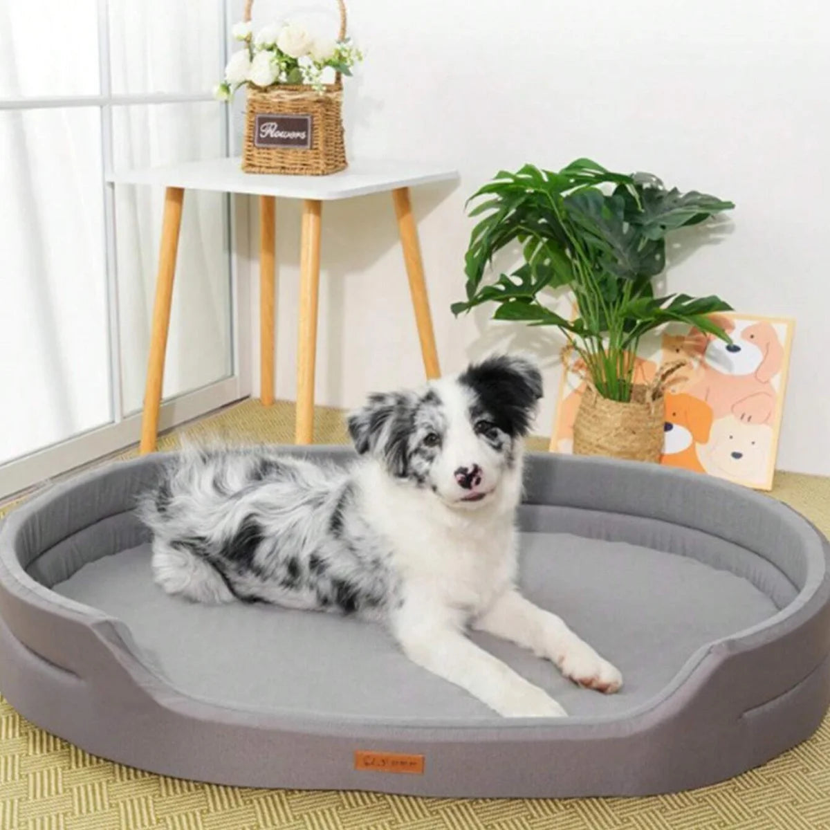 Waterproof and Wear-Resistant Beds for Dogs