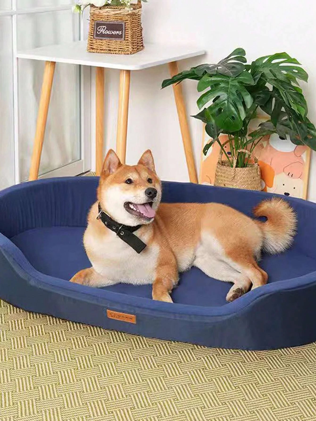 Waterproof and Wear-Resistant Beds for Dogs