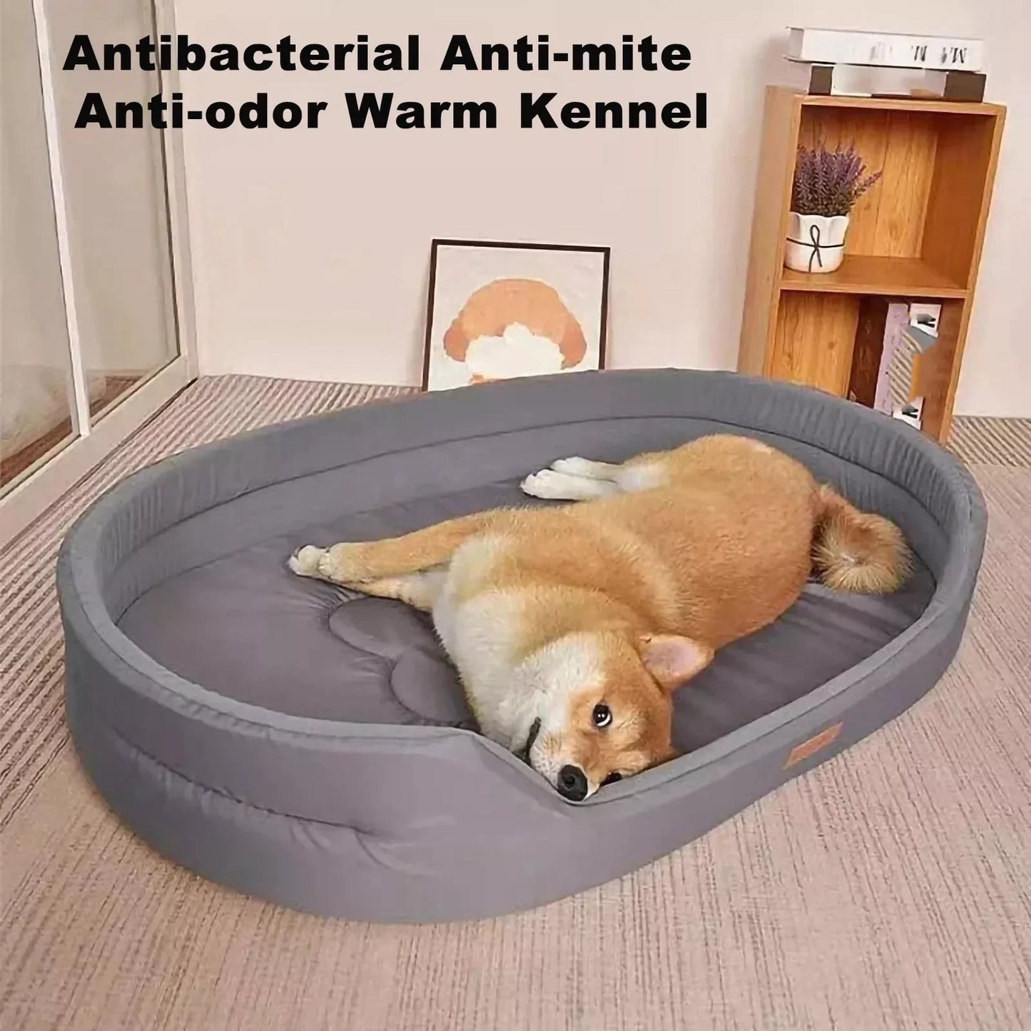 Waterproof and Wear-Resistant Beds for Dogs