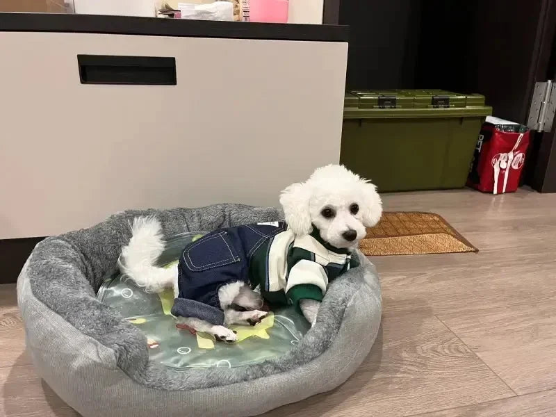 Soft Warm Dog Bed